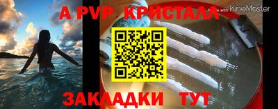 спиды Кимры