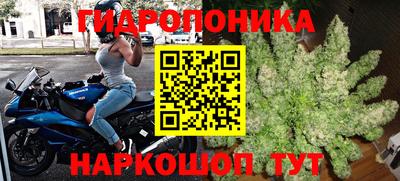 спиды Кимры