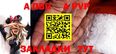 спиды Кимры