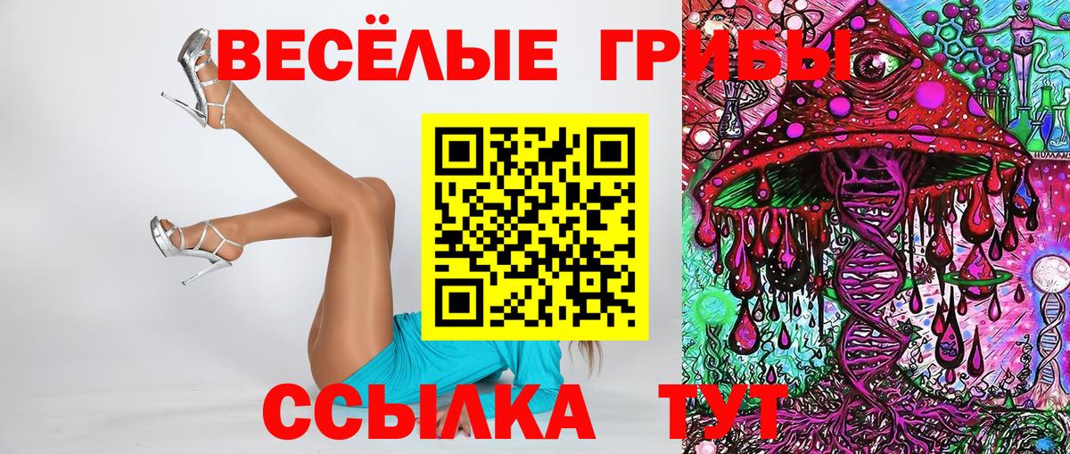 Галлюциногенные грибы мухоморы  Галлюциногенные грибы ЛСД  Кохма  Вход с VPN 