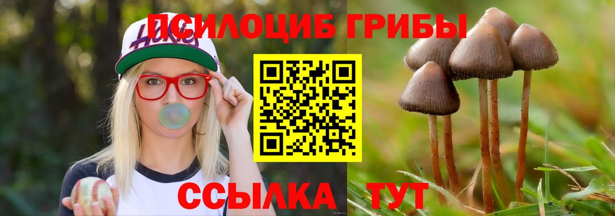 Псилоцибиновые грибы MAGIC MUSHROOMS Кохма